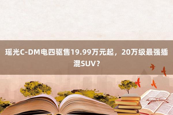 瑶光C-DM电四驱售19.99万元起，20万级最强插混SUV？