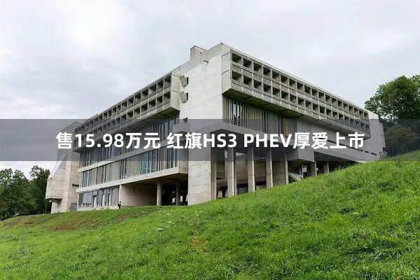 售15.98万元 红旗HS3 PHEV厚爱上市