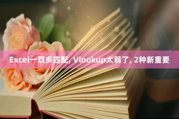 Excel一双多匹配, Vlookup太弱了, 2种新重要