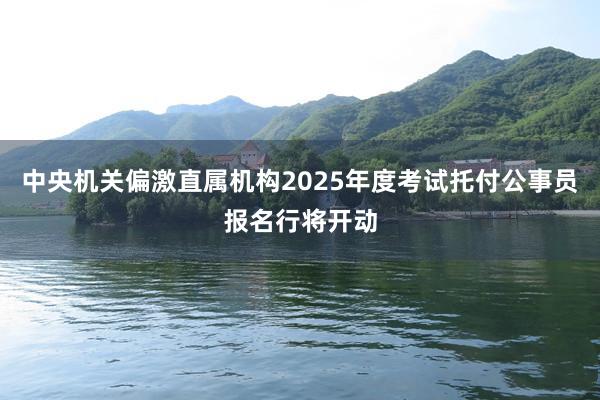 中央机关偏激直属机构2025年度考试托付公事员报名行将开动