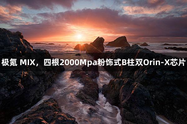 极氪 MIX，四根2000Mpa粉饰式B柱双Orin-X芯片