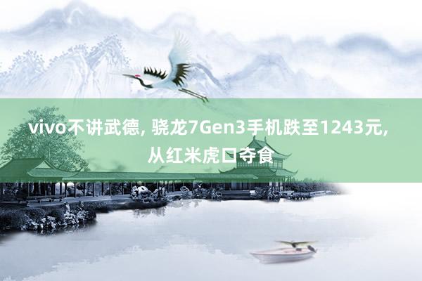 vivo不讲武德, 骁龙7Gen3手机跌至1243元, 从红米虎口夺食