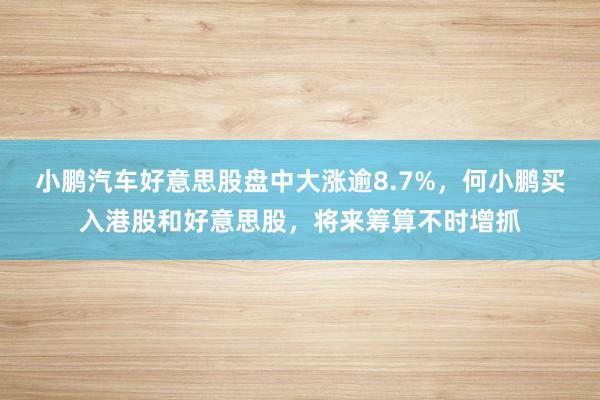 小鹏汽车好意思股盘中大涨逾8.7%，何小鹏买入港股和好意思股，将来筹算不时增抓